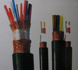 钢带双层总屏蔽计算电缆IA-DJYPVP2-22